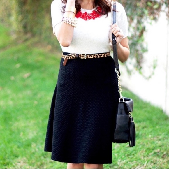 CAbi Style 214 Amelie Black Textured A-Line Skirt Size Small - Picture 1 of 8